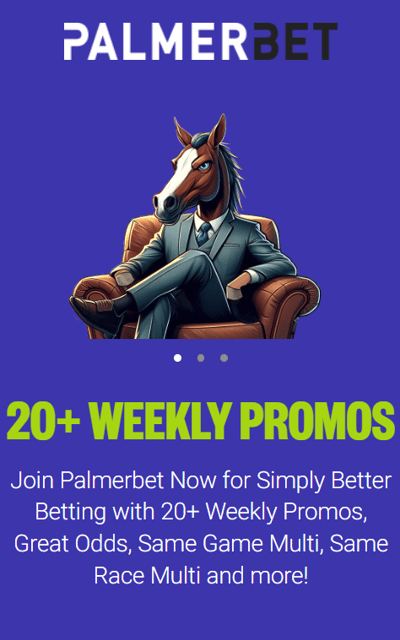 PalmerBet horse betting App