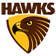 Hawthorn AFL