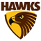 Hawthorn AFL