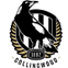 Collingwood Magpies AFL