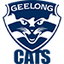 Geelong Cats AFL