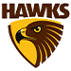 Hawthorn AFL