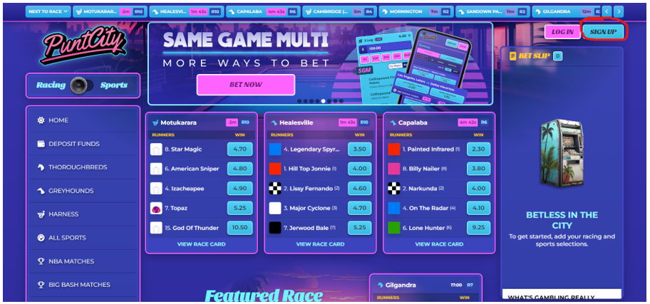 puntcity website.png puntcity website.png